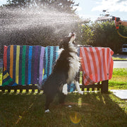 Dog & Bay - Towels for Pets - Dog Days - Outlet
