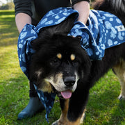 dock and bay dog towels