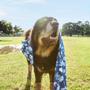 dock and bay dog towels